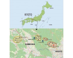 Природный точильный камень Okudo Suita 155 г -foto8