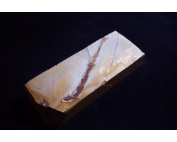 Природний камінь Yaginoshima Suita 1760g-foto7