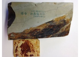 Природний камінь Shobudani Tomae 936 г з нагурою Okudono -foto5