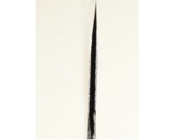 Moritaka AS Gyuto ніж 210 mm-foto4