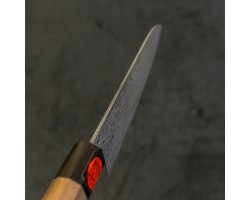 Shigeki Tanaka HSS R2 "HARUKAZE" Gyuto (шеф) 210mm-foto10