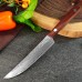 Chang Keng Damascus Petty, універсальний ніж, 123мм