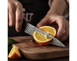 HEZHEN Retro Black Damascus Petty ніж, 130мм-foto2