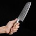 HEZHEN Master series Damascus Santoku, Сантоку ніж, 180мм