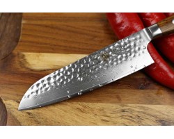 Xinzuo Yun Damascus Santoku knife 180mm-foto6